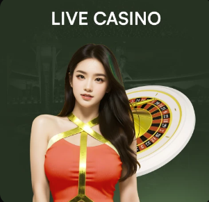 2026年3月24日NBA常规赛步行者vs魔术直播【24直播网】